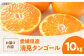 みかん 清見 みかん オレンジ フルーツ ミカン 果物 かき氷 みかんジュース 愛媛みかん こたつ スムージー デザート おやつ