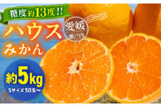 発送中！食べて納得、甘さが違う！【夏限定】愛媛県産 峯田農園のあま〜い「ハウスみかん」5kg 愛媛県大洲市/峯田農園 [AGBT004] 先行予約 みかん ミカン 蜜柑 果物 くだもの フルーツ 愛媛県産 大洲市産 産地直送 おすすめ 人気 お取り寄せ 送料無料 贈答 ギフト