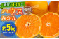 発送中！食べて納得、甘さが違う！【夏限定】愛媛県産 峯田農園のあま〜い「ハウスみかん」5kg