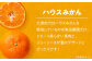 発送中！食べて納得、甘さが違う！【夏限定】愛媛県産 峯田農園のあま〜い「ハウスみかん」5kg