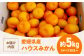 発送中！食べて納得、甘さが違う！【夏限定】愛媛県産 峯田農園のあま〜い「ハウスみかん」5kg