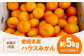 発送中！食べて納得、甘さが違う！【夏限定】愛媛県産 峯田農園のあま〜い「ハウスみかん」5kg