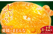 【先行予約】【11月下旬から順次発送】 とろける宝石みかん「まどんな」2L～3Lサイズ 10～12玉 果物 フルーツ みかん みかんジュース 愛媛県産みかん 愛媛みかん まどんな マドンナ 愛媛県大洲市/峯田農園 [AGBT006]