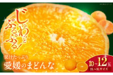 【先行予約】【11月下旬から順次発送】 まどんな 2L〜3Lサイズ 10〜12玉 みかん 果物 愛媛県大洲市/峯田農園[AGBT006] 先行予約 みかん ミカン 蜜柑 果物 くだもの フルーツ 愛媛県産 大洲市産 産地直送 おすすめ 人気 お取り寄せ 送料無料 贈答 ギフト