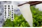 天然トラフグうすづくりセット
