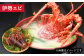 老舗鮮魚店の厳選！豪華天然魚介3種セット！（イセエビ約300ｇ・アワビ約200g・サザエ約1kg）