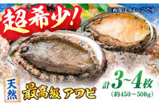 活きたままの高級あわび！瀬戸内海産天然活きアワビ3から4枚セット 愛媛県大洲市/天然活魚 濱 屋 [AGBP007] アワビ あわび 鮑 新鮮 魚介類 瀬戸内魚介類