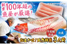 【下処理済み・冷蔵】 おまかせ！天然鮮魚3人前 愛媛県大洲市/天然活魚　濱　屋［AGBP008］魚介 冷蔵 天然鮮魚 刺身 煮魚用 下処理済み 魚介