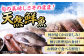 魚介類 魚料理 刺身 パスタ 海 海釣り 料理 おうちごはん 海鮮 シーフード 鮮魚 日本酒 ランチ 寿司 美味しい 海の幸