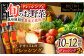 【野菜セット】（野菜・調味料）旬野菜セット×手作り玉ねぎドレッシング（2本）