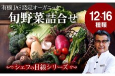【野菜セット】シェフの目線で厳選！旬の 野菜セット（12〜16種) 大洲市/（有）ヒロファミリーフーズ[AGBX003] 野菜セット 人気 旬野菜セット やさいセット 野菜詰め合わせ 野菜 詰め合わせ