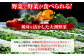 【野菜セット】旬野菜 詰め合わせ