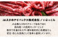 【冷凍】 国産 牛肉 伊予牛「絹の味」ロース  600g  (300g×2) パック