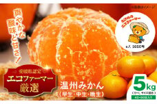 温州みかん 5kg SからLサイズ混合（40から50個入） 温州みかん みかん 果物 フルーツ 柑橘 愛媛県大洲市/有限会社いのうえ果樹園 [AGBV003]