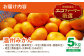 温州みかん 5kg SからLサイズ混合 （40から50個入）