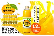 みかんが1番美味しい時期にジュースにしました！果汁100％うんしゅうみかんジュース500ml×12本(ストレートジュース) 愛媛県大洲市/有限会社いのうえ果樹園 [AGBV008]果物 みかんジュース フルーツ デザート 愛媛みかんジュース ミカン ストレートジュース オレンジ