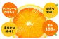 うんしゅうみかんジュース（ストレート）500ml×12本