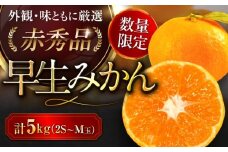 【先行予約】【11月中旬から順次発送】 早生みかん 5kg 箱 2S～Mサイズ 50玉～80玉 赤秀 期間限定 数量限定 みかん 愛媛みかん 柑橘 果物 フルーツ みかんジュース ミカン 早生みかん 愛媛県大洲市/愛媛たいき農業協同組合[AGAO005]