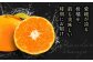 フルーツの代表！冬の定番果物！赤秀 愛媛県産 早生みかん 5㎏箱（50玉～80玉）