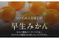 フルーツの代表！冬の定番果物！赤秀 愛媛県産 早生みかん 5㎏箱（50玉～80玉）