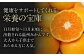フルーツの代表！冬の定番果物！赤秀 愛媛県産 早生みかん 5㎏箱（50玉～80玉）