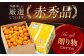 フルーツの代表！愛媛みかん 南柑20号 赤秀10kg箱（100玉～160玉） 