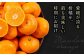 フルーツの代表！愛媛みかん 南柑20号 赤秀10kg箱（100玉～160玉） 