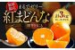 フルーツ王国愛媛県からお届け！とろけるみかん！ 紅まどんな 4L～2L玉サイズ 約3kg化粧箱入（8玉～12玉入）