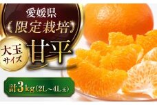 【先行予約】【2026年2月上旬から順次発送】【期間・数量限定】 愛媛限定栽培！ 甘平（かんぺい）2L～4L玉サイズ 約3kg箱入（8玉～12玉）甘平 みかん 愛媛みかん 柑橘 愛媛 みかん 愛媛県大洲市/愛媛たいき農業協同組合[AGAO010]