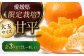  甘平（かんぺい） 2L〜4L玉サイズ 約3kg箱入（8玉～12玉入り）