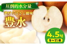 【先行予約】【9月上旬から順次発送】特選 豊水 梨4.5kg（9個から11個入り） 愛媛県大洲市/幸野観光なし園 [AGBD003] 梨 なし ナシ 果物 フルーツ 