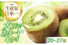 【先行予約】【2025年12月中旬から2026年1月下旬にかけて順次発送】キウイフルーツ（20個～27個入り） 果物 フルーツ キウイ キウイフルーツ 人気 デザート くだもの 愛媛県大洲市/幸野観光なし園 [AGBD004]