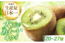 【先行予約】【2025年12月中旬から2026年1月下旬にかけて順次発送】キウイフルーツ（20個～27個入り） 愛媛県大洲市/幸野観光なし園 [AGBD004] 先行予約 キウイ キウイフルーツ 果物 くだもの フルーツ 愛媛県産 大洲市産 産地直送 おすすめ 人気 お取り寄せ 送料無料 贈答 ギフト