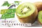 食品 果物 フルーツ おやつ デザート キウイ ジュース スムージー ヨーグルト 贈答品 ギフト プレゼント
