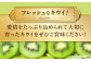 食品 果物 フルーツ おやつ デザート キウイ ジュース スムージー ヨーグルト 贈答品 ギフト プレゼント
