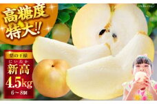 【先行予約】【10月上旬から順次発送】「梨の王様」特大新高 梨4.5kg（6個から8個入り） なし 梨 果物 フルーツ デザート 愛媛県大洲市/幸野観光なし園 [AGBD002] 