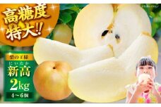 【先行予約】【10月上旬から順次発送】「梨の王様」特大新高 梨 2kg（4個から6個入り） 愛媛県大洲市/幸野観光なし園 [AGBD001] なし 梨 果物 フルーツ デザート 