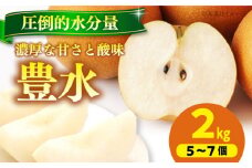 【先行予約】【9月上旬から順次発送】特選 豊水 梨2kg（5個から7個入り） 愛媛県大洲市/幸野観光なし園 [AGBD005] 梨 なし ナシ 果物 フルーツ 
