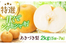 【先行予約】【9月中旬から順次発送】 特選 あきづき 梨2kg（5個から7個入り）愛媛県大洲市/幸野観光なし園[AGBD008] 先行予約 ナシ 梨 なし 新高 果物 くだもの フルーツ 愛媛県産 大洲市産 産地直送 おすすめ 人気 お取り寄せ 送料無料 贈答 ギフト