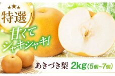 【先行予約】【9月中旬から順次発送】 特選 あきづき 梨2kg（5個から7個入り）愛媛県大洲市/幸野観光なし園[AGBD008] 先行予約 ナシ 梨 なし 新高 果物 くだもの フルーツ 愛媛県産 大洲市産 産地直送 おすすめ 人気 お取り寄せ 送料無料 贈答 ギフト