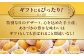 梨 あきづき 果物 くだもの 秋の味覚 フルーツ ナシ なし 美味しい おやつ かおり 朝ごはん 贈り物 贈答