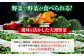旬のお野菜+クリーン白米【ふるさと納税限定】