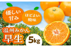 【先行予約】【11月上旬から順次発送】 温州みかん 早生 約4kg 【まごころ手選り手詰め】愛媛県大洲市/カームシトラス [AGBW004] 果物 フルーツ みかん ミカン 温州みかん 愛媛 みかん 4kg