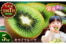 【11月以降順次発送】 キウイフルーツ 約5kg 愛媛県大洲市/沢井青果有限会社 [AGBN002] 果物 フルーツ キウイ キウイフルーツ 5kg デザート くだもの フルーツ キウイフルーツ 人気