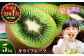 生産量日本一！家族で毎日食べられる！キウイフルーツ 約5kg 