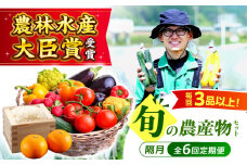 【全6回定期便】 新鮮 野菜 ！ 旬の農産物定期便 愛媛県大洲市/大洲市青年農業者協議会 [AGBL001] 新鮮野菜セット 野菜セット フルーツ 果物 果物セット 野菜詰め合わせ 野菜果物セット 国産野菜 詰め合わせ