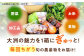 毎回ちがう旬の農産物定期便
