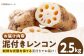 泥付きレンコン 約2.5kg