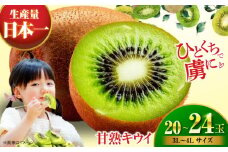 【先行予約】【1月上旬より順次発送】 甘熟キウイフルーツ 3L～4Lサイズ（20～24玉入） 果物 フルーツ キウイ キウイフルーツ 人気 追熟 デザート くだもの フルーツ 愛媛県大洲市/沢井青果有限会社 [AGBN001]