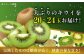 生産量日本一！家族で毎日食べられる！甘熟キウイフルーツ　3L～4Lサイズ（20～24玉入）